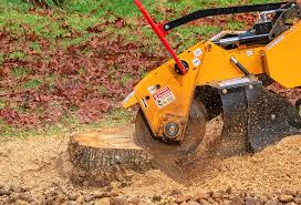 How Our Tree Care Process Works  in  Arcadia, WI